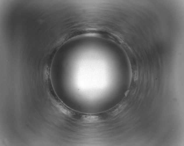 X0000069410476200605121246