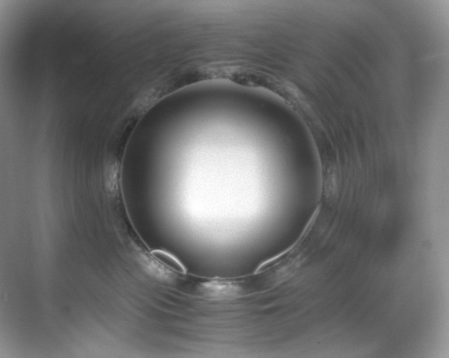 X0000069410477200605121246