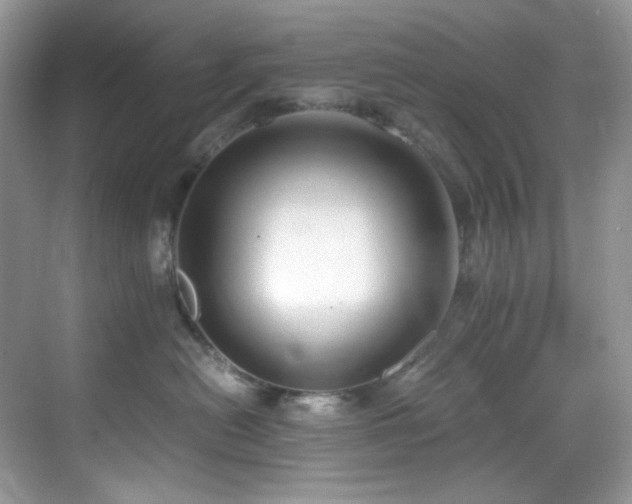 X0000069410478200605121246