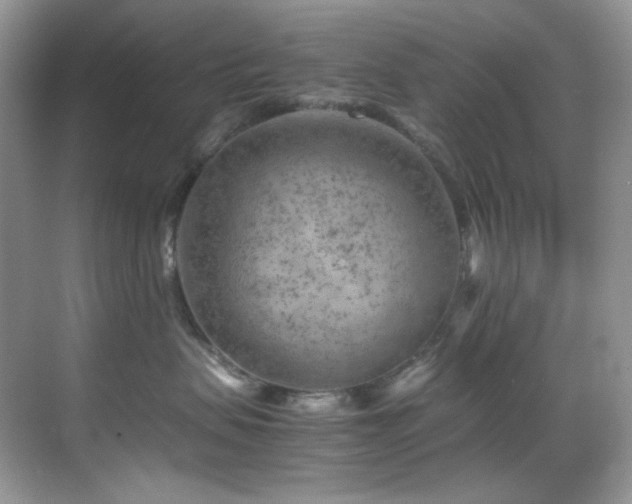 X0000069410479200605121246