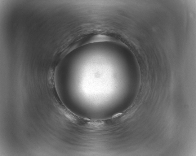 X0000069410480200605121246