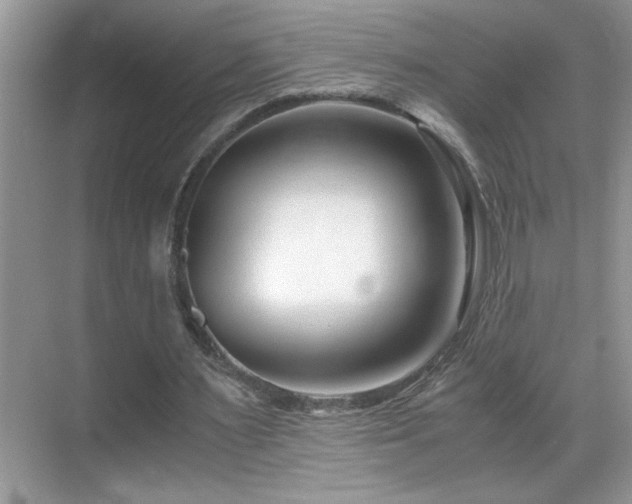 X0000069410483200605121245