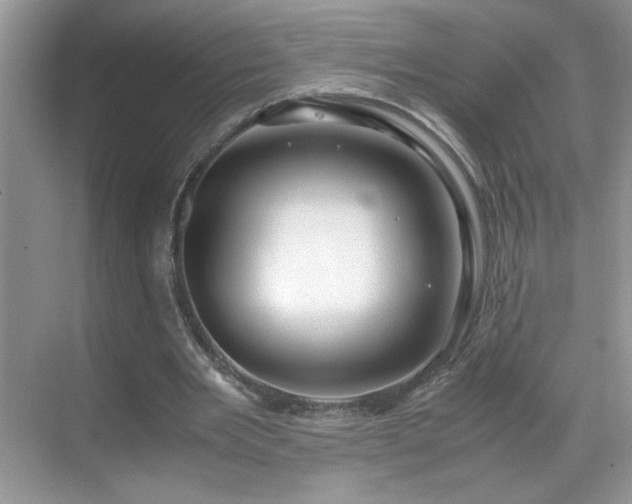 X0000069410485200605121245