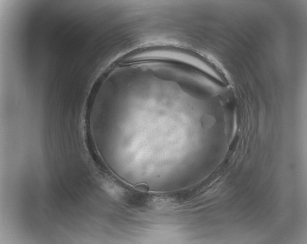 X0000069410487200605121245