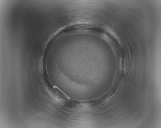 X0000069410492200605121245