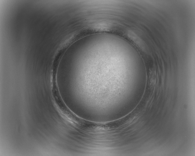 X0000069410494200605121245