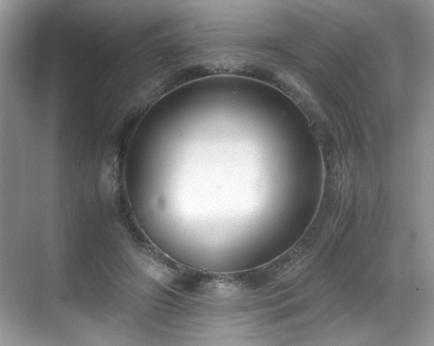 X0000069410498200605121245