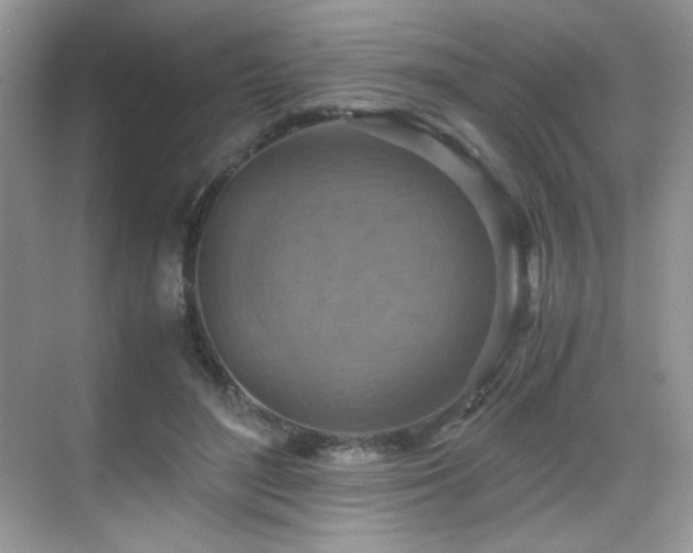 X0000069410500200605121245