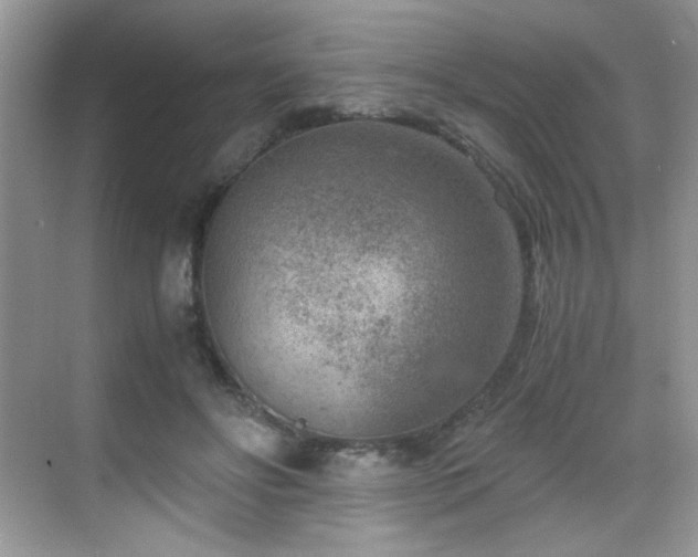 X0000069410502200605121245