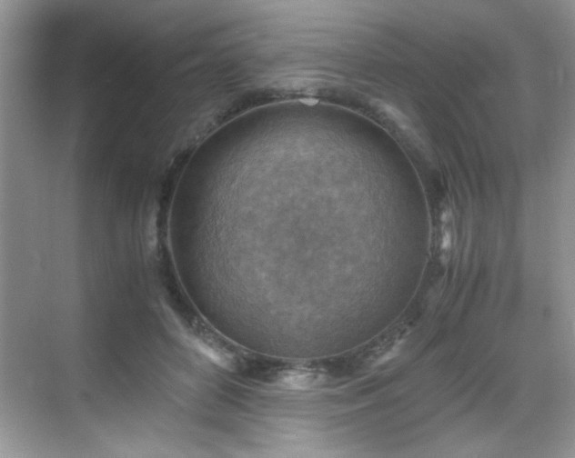 X0000069410504200605121245