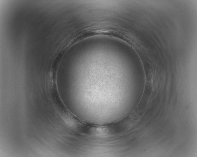 X0000069410506200605121245