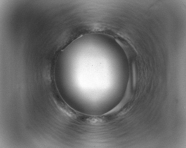 X0000069410512200605121244