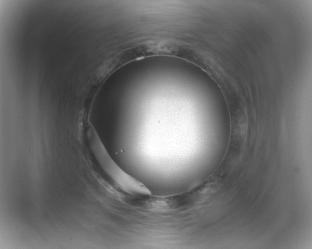 X0000069410513200605121244