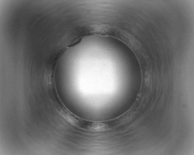 X0000069410514200605121244