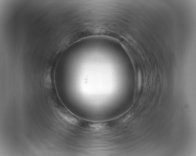 X0000069410516200605121244