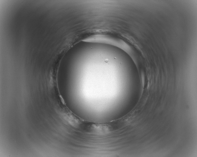 X0000069410520200605121244