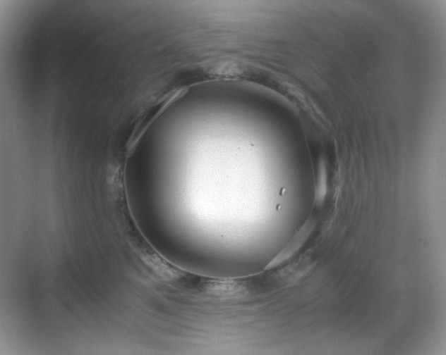X0000069410521200605121244
