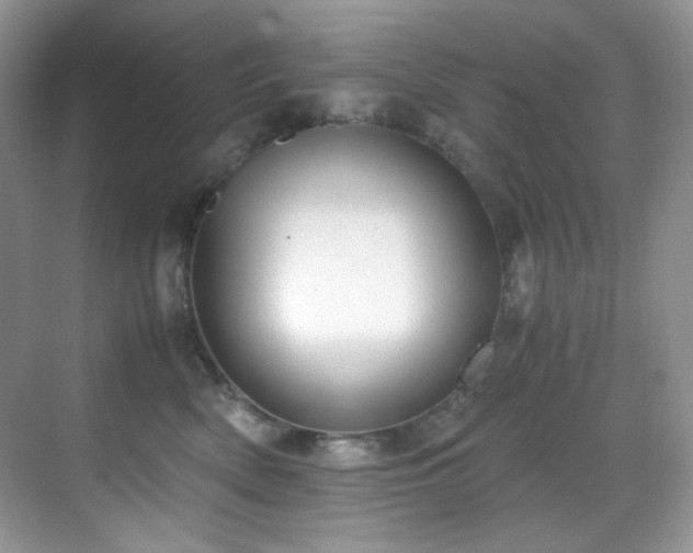 X0000069410522200605121244