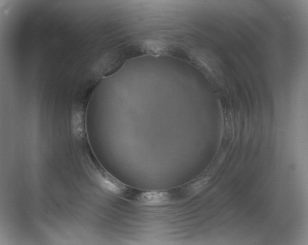 X0000069410526200605121244