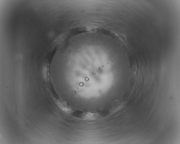 X0000069410527200605121244