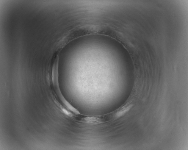 X0000069410528200605121244