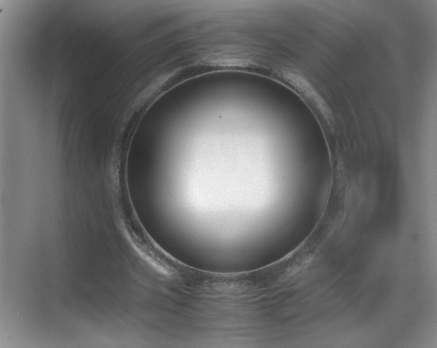 X0000069410533200605121243
