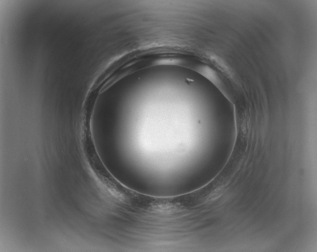 X0000069410540200605121244