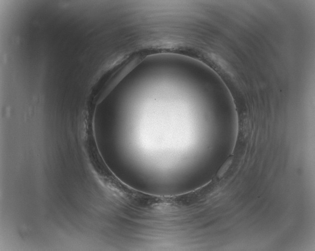 X0000069410544200605121244