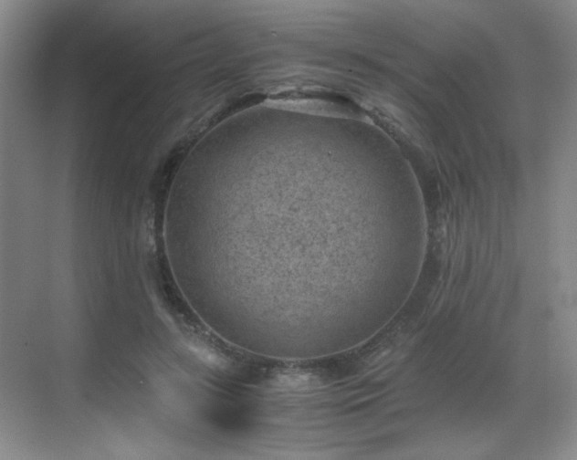 X0000069410547200605121244