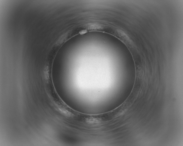 X0000069410549200605121244