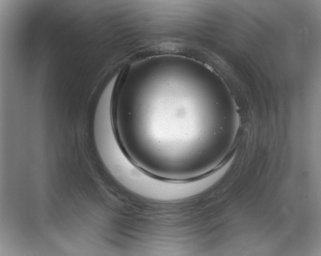X0000069410552200605121244