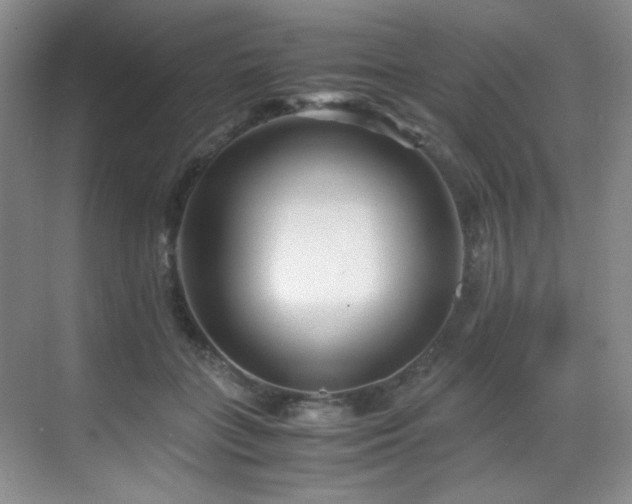X0000069410555200605121244
