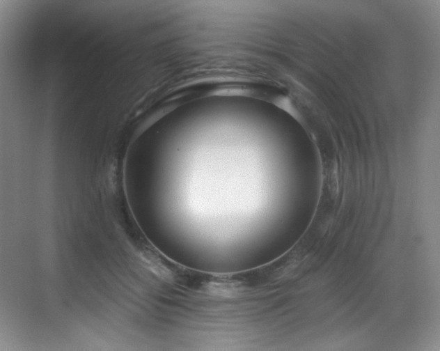 X0000069410556200605121244