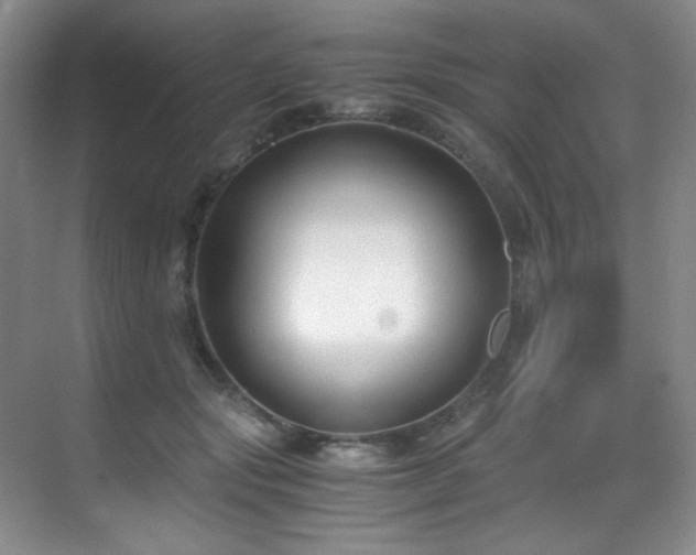 X0000069410557200605121244