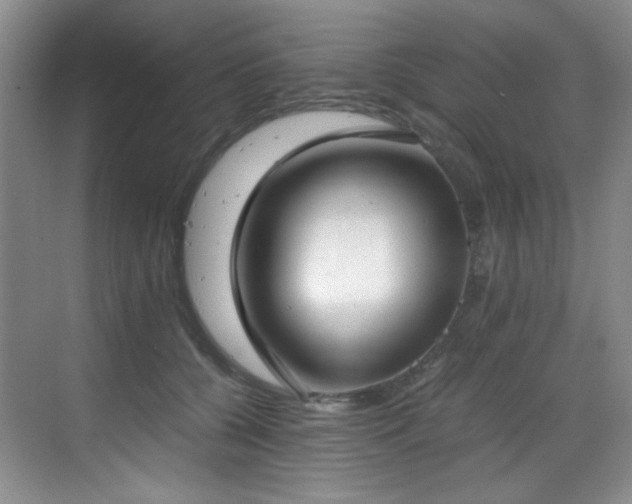 X0000069410560200605121244