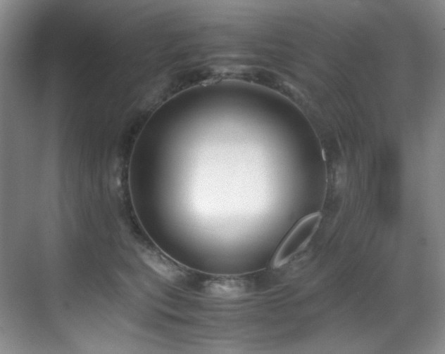 X0000069410567200605121244