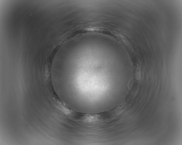X0000069410569200605121244