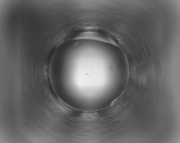 X0000069410571200605121244
