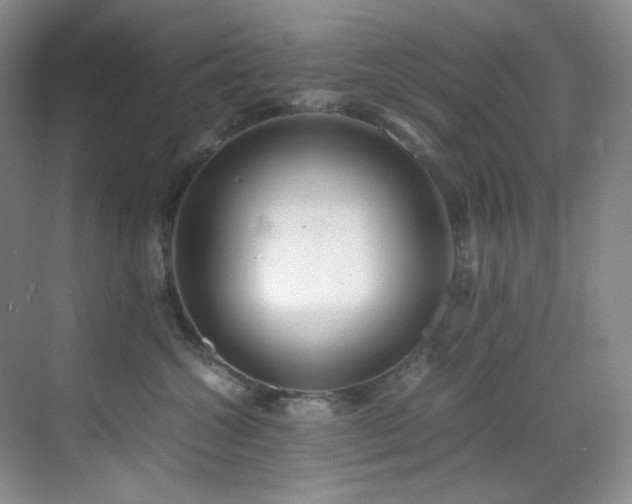 X0000069410572200605121244