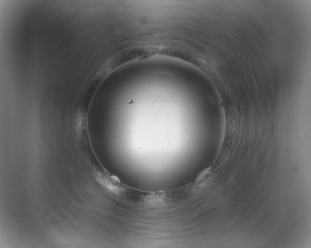 X0000069410574200605121244