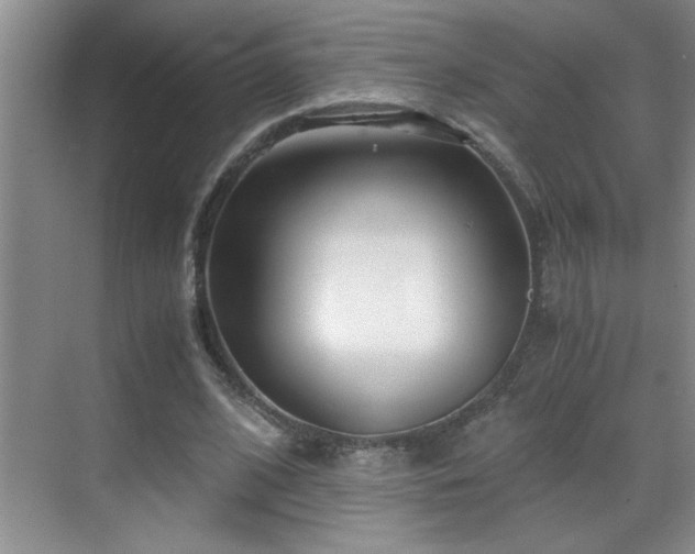 X0000069410584200605121243
