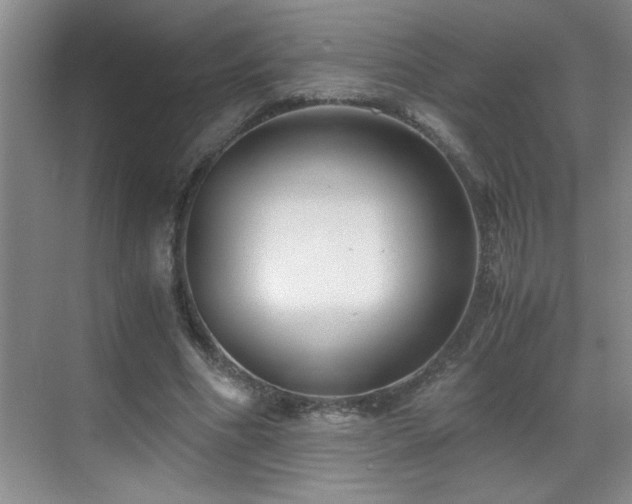 X0000069410586200605121243
