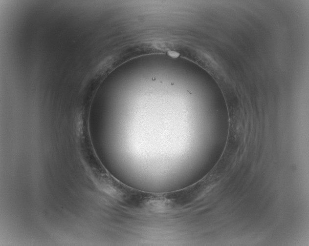 X0000069410595200605121243