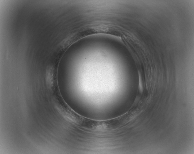 X0000069410600200605121243