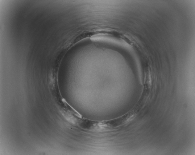 X0000069410607200605121243