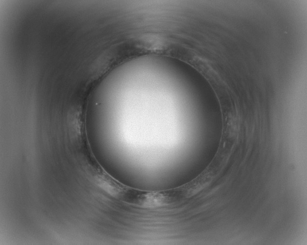 X0000069410612200605121243