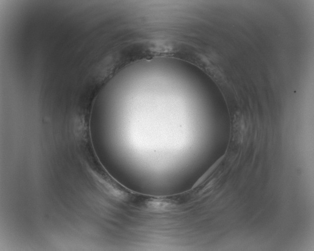 X0000069410614200605121243