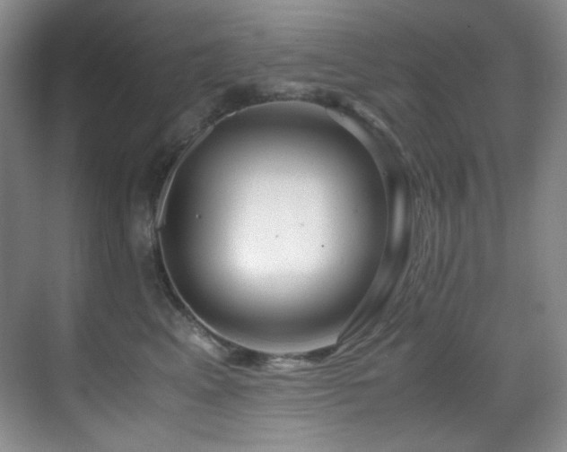 X0000069410617200605121243