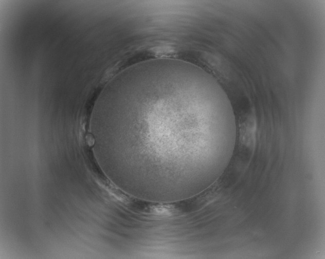 X0000069410618200605121243