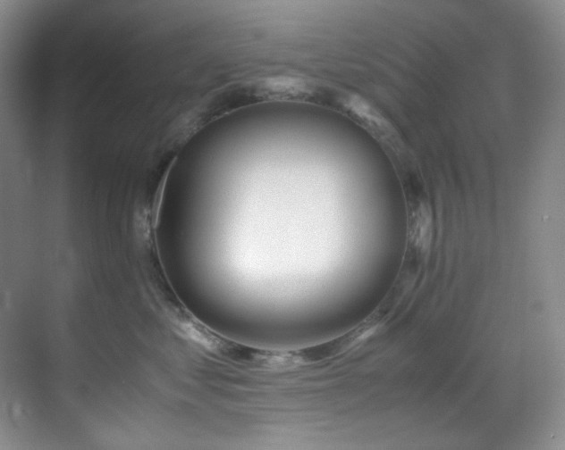 X0000069410621200605121243